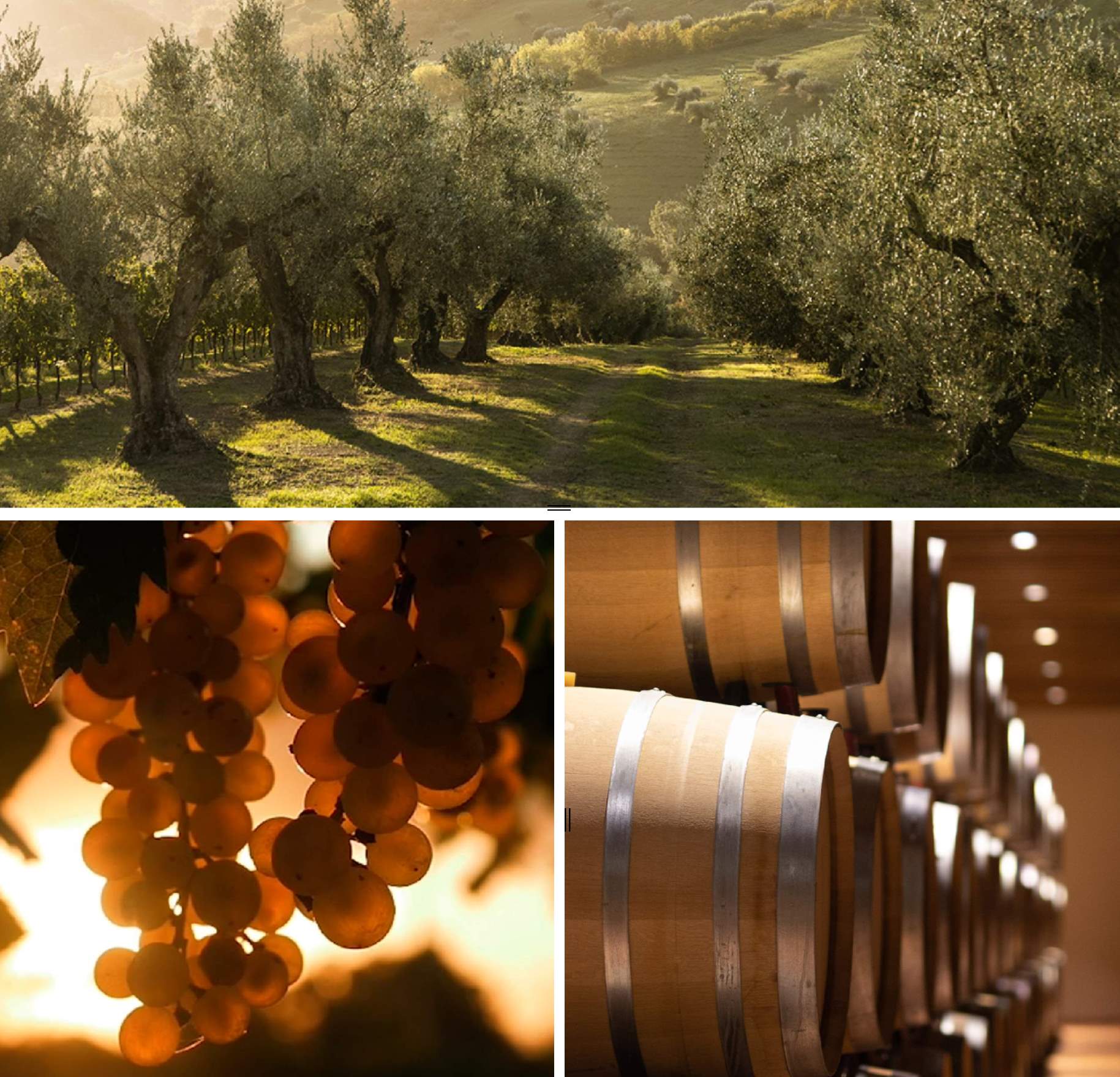 fascino montepulciano Il Fascino del Montepulciano d